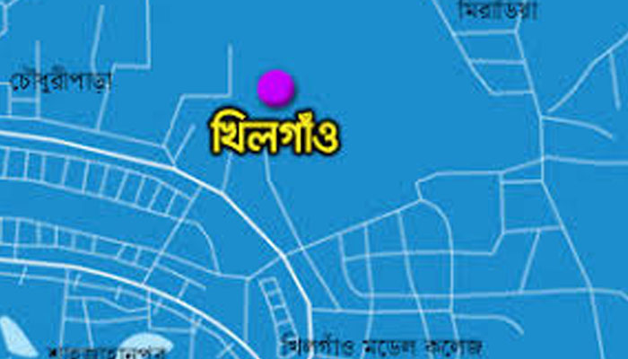 খিলগাঁওয়ে ট্রাকের ধাক্কায় বৃদ্ধ নিহত