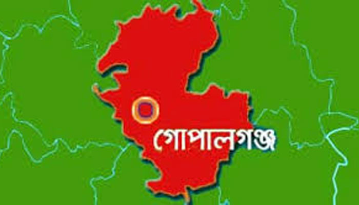 গোপালগঞ্জে সড়ক দুর্ঘটনায় দুইজন নিহত, আহত ১০