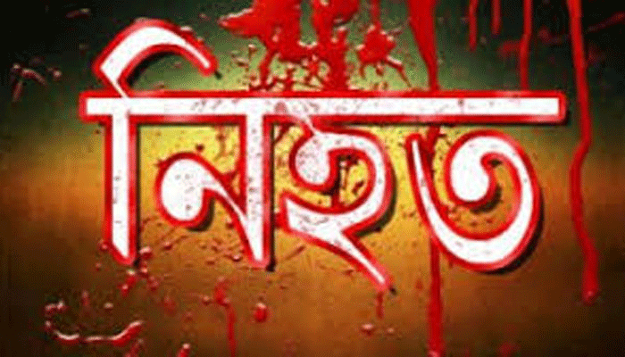 চট্টগ্রামের মিরসরাইয়ে পিকআপের ধাক্কায় নিহত ১