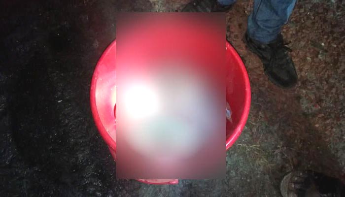 বরিশালে হাসপাতালের ডাস্টবিনে ২২ নবজাতকের লাশ