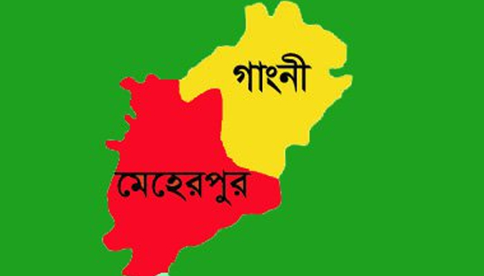 মেহেরপুরে পৃথক দুর্ঘটনায় নিহত ২