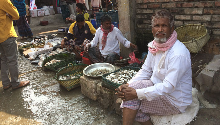 গ্রামীন কাঁঁচাবাজারই এখনো ভরসাস্থল সোনাগাজীর ক্রেতা-বিক্রেতাদের