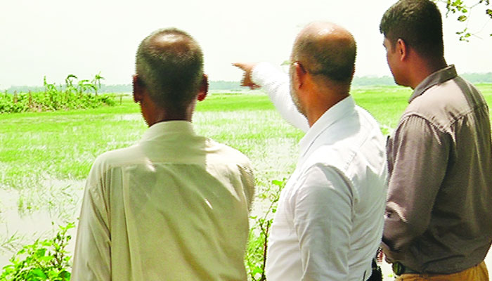 স্বাধীনতার ৪৮ বছর পর সাভারে বধ্যভূমির খোঁজ