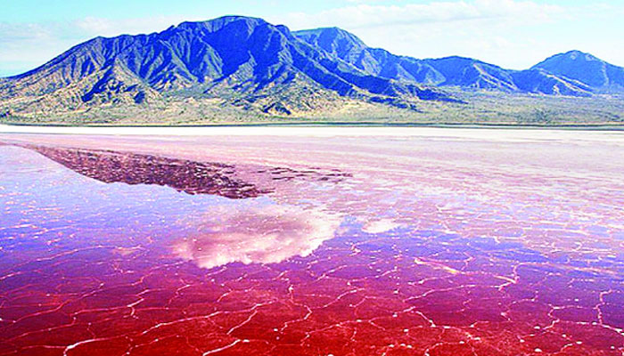 টকটকে লাল হ্রদে পানি ছুঁলেই পাথর!