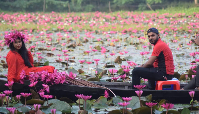 লাল শাপলার বিল সাতলা-বাগধা