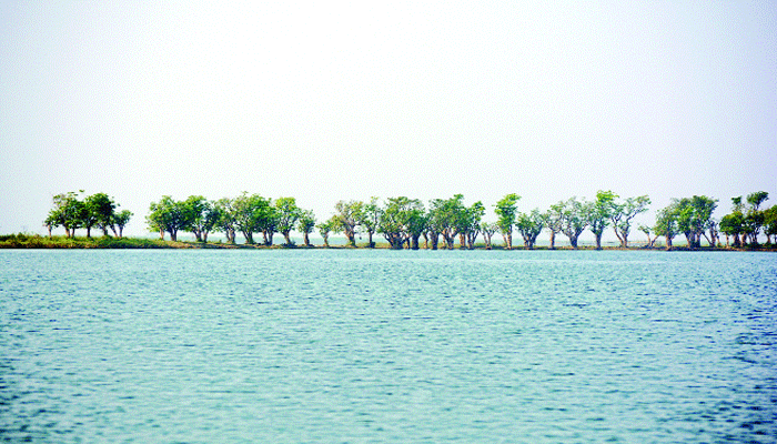 অপার সৌন্দর্যের লীলাভূমি তাহিরপুর