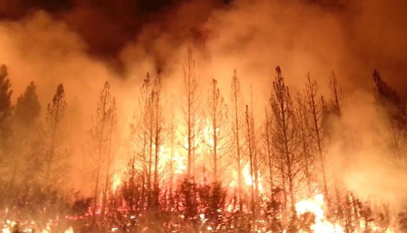 জলবায়ু প্রভাবে তীব্রতর হচ্ছে অস্ট্রেলিয়ার দাবানল