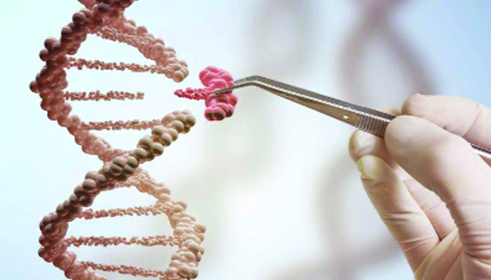 ২০৪৫ সালের মধ্যেই মানুষের ইচ্ছামৃত্যু?