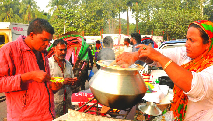 শীতের পিঠা বদলে দিয়েছে নারীর জীবন