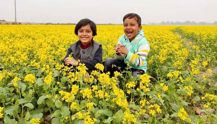 মাছের ভাণ্ডার চলনবিল এখন মধুভাণ্ডার