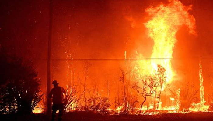 অপ্রতিরোধ্য দাবালন, পুড়ছে শহর-নগর (ভিডিও)