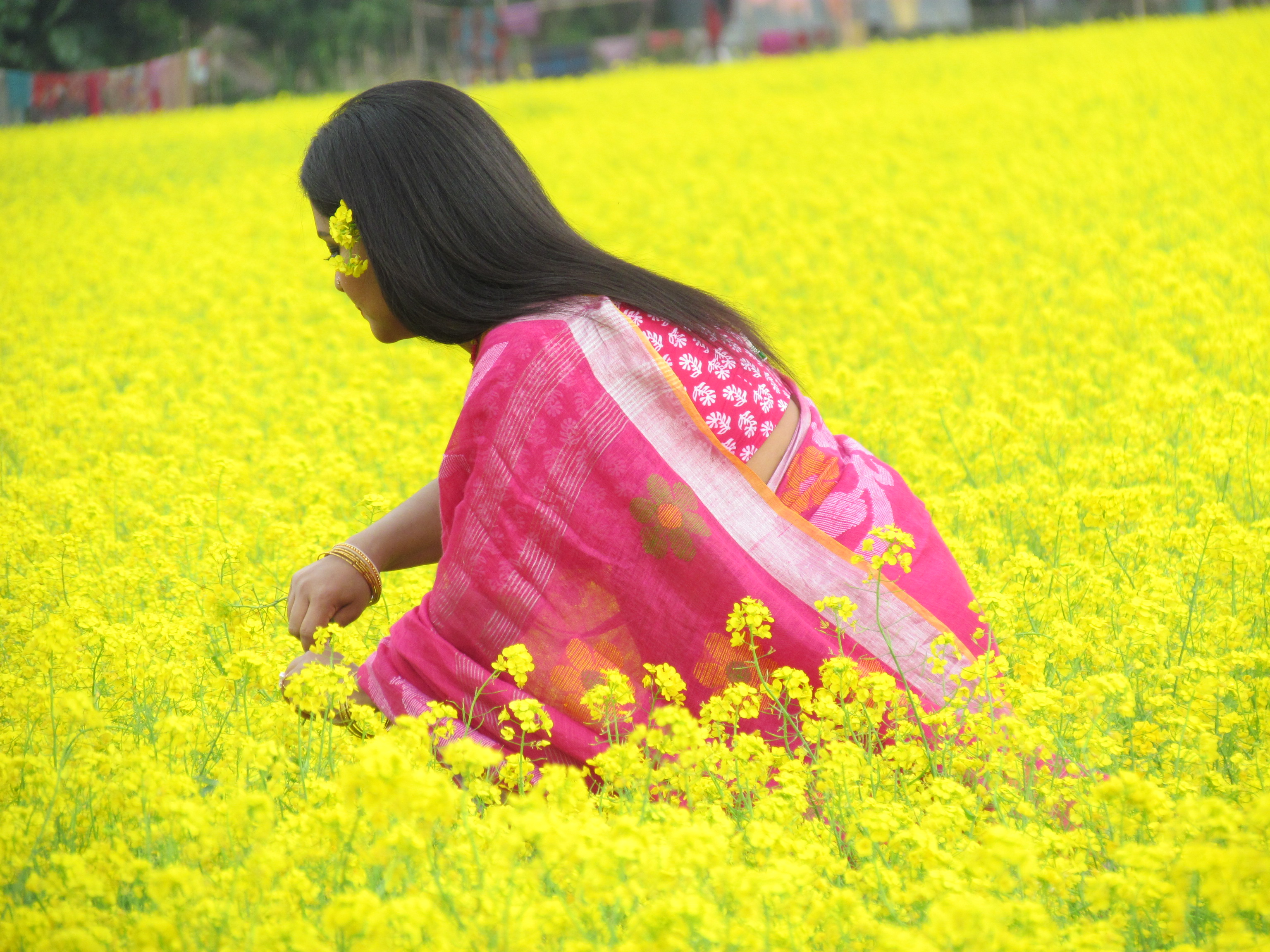 হারিয়ে যেতে পারেন হলুদ সমুদ্রে...