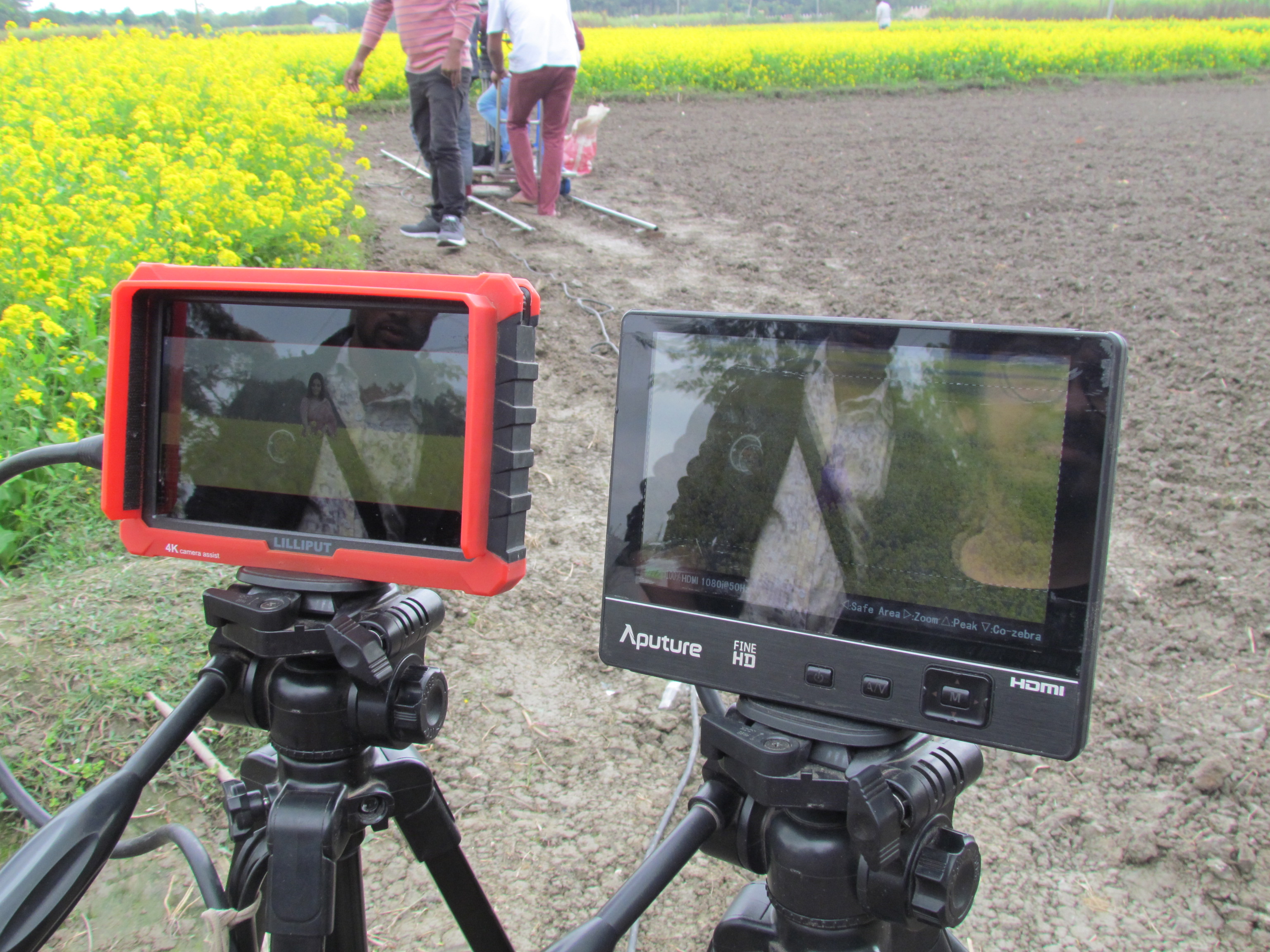 হারিয়ে যেতে পারেন হলুদ সমুদ্রে...