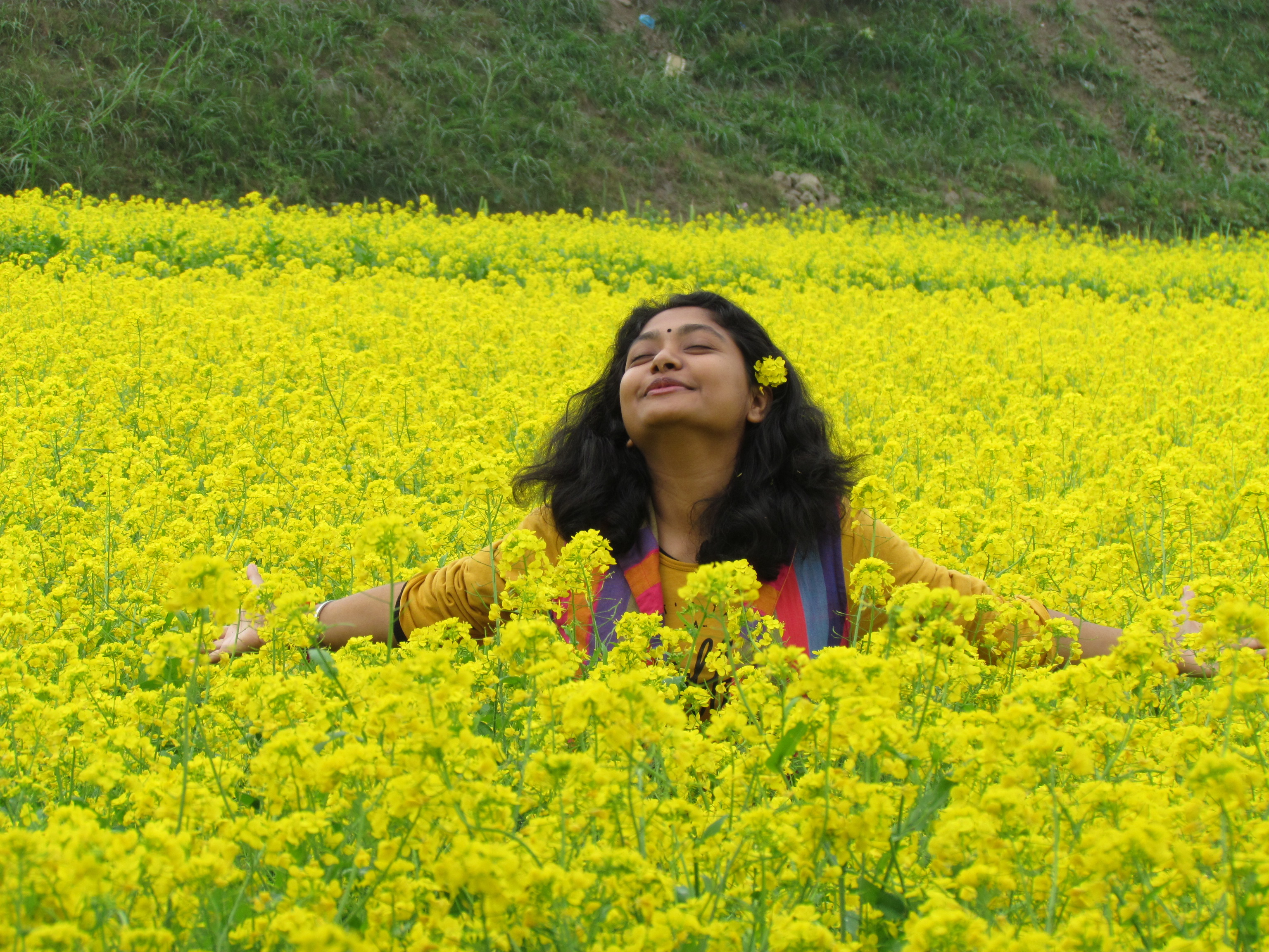 হারিয়ে যেতে পারেন হলুদ সমুদ্রে...