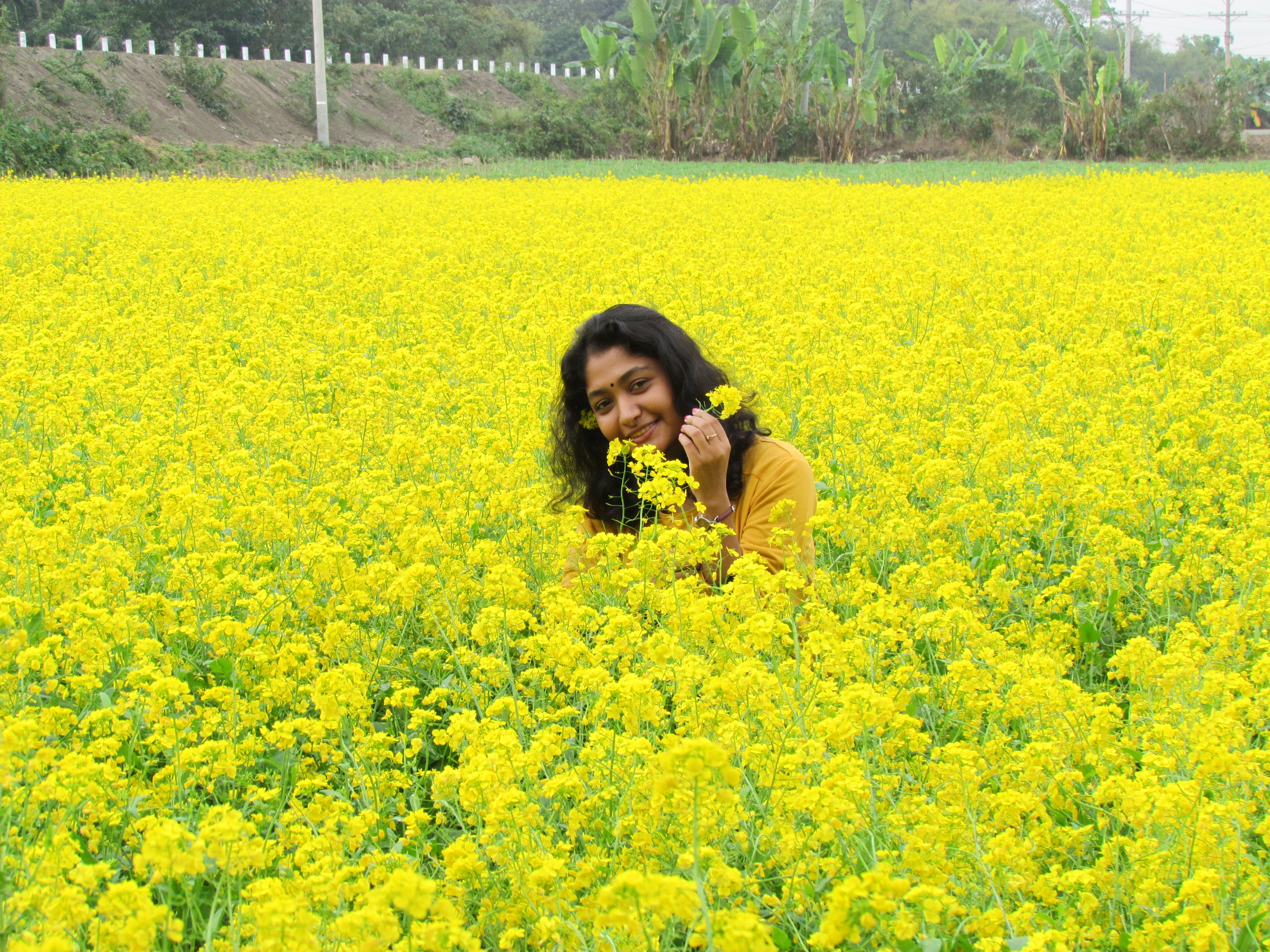 হারিয়ে যেতে পারেন হলুদ সমুদ্রে...