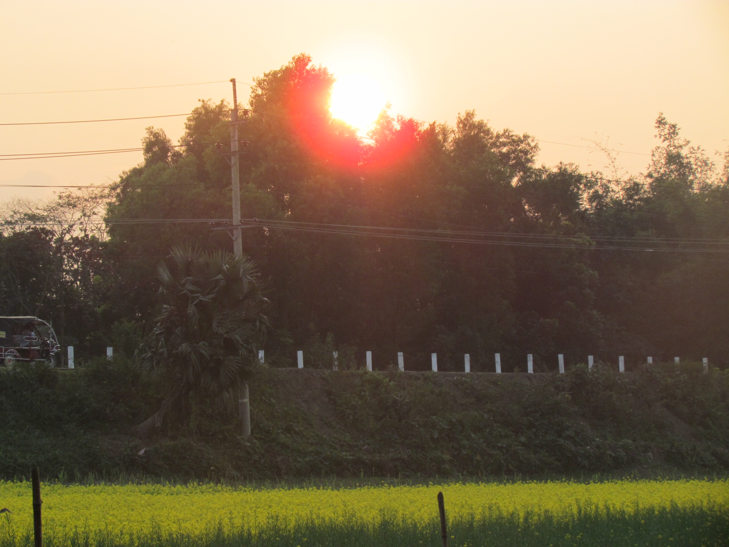 হারিয়ে যেতে পারেন হলুদ সমুদ্রে...