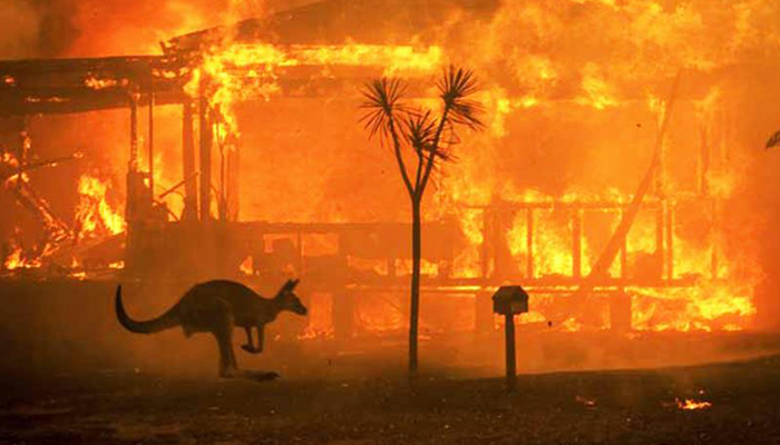 আগুনের গ্রাসে ভয়াবহতার চূড়ান্ত সীমায় অস্ট্রেলিয়া