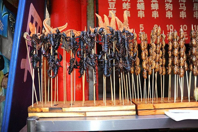 কি বিচিত্র উদ্ভট চীনা খাবার!