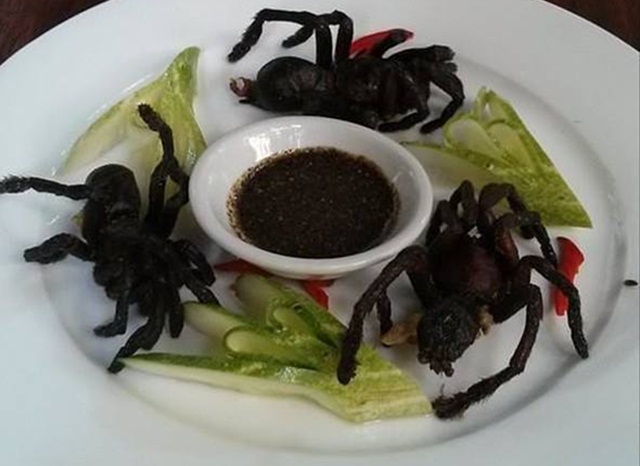 কি বিচিত্র উদ্ভট চীনা খাবার!