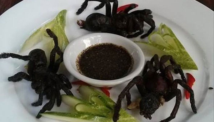 কি বিচিত্র উদ্ভট চীনা খাবার!