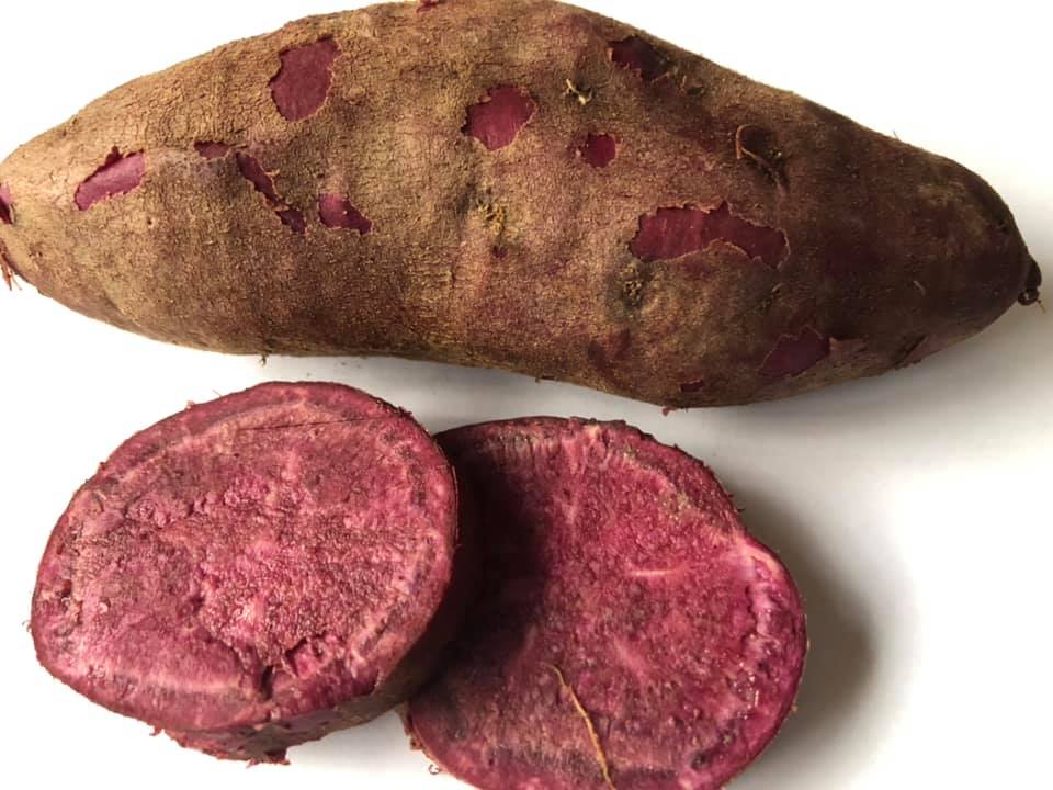 এন্টিওক্সিডেন্ট সমৃদ্ধ ‘পার্পল স্টার’ উদ্ভাবন