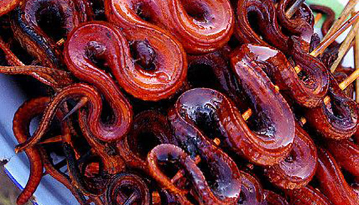 কি বিচিত্র উদ্ভট চীনা খাবার!