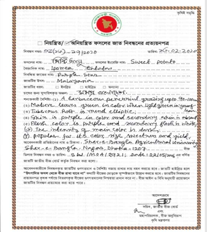 এন্টিওক্সিডেন্ট সমৃদ্ধ ‘পার্পল স্টার’ উদ্ভাবন