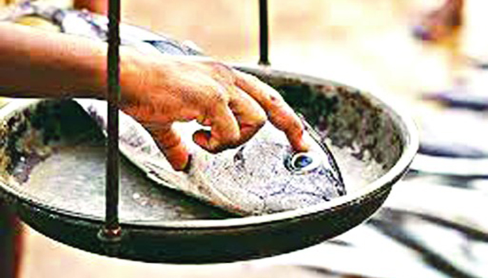 বাড়ি বাড়ি গিয়ে মাছ বিক্রি করছে পশ্চিমবঙ্গ সরকার
