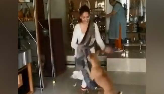 করোনাকালে কুকুরের সঙ্গে মাধুরীর নাচ (ভিডিও)