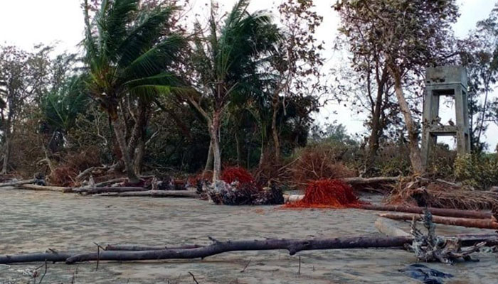 আমফানে লণ্ডভণ্ড কুয়াকাটা উপকূলের বনাঞ্চল