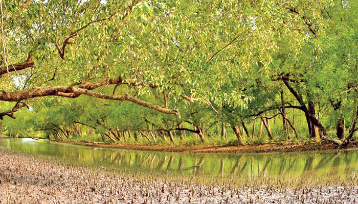 প্রত্যাশা পূরণ হয়নি জলবায়ু বাজেটে