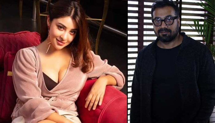 পায়েলকে যৌন হেনস্তা, অনুরাগকে সমন পাঠাল পুলিশ