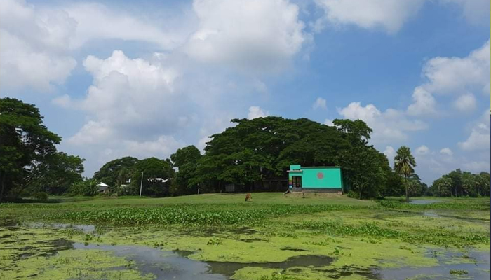 একাত্তরের আগে স্থা‌পিত স্কুলে যাওয়ার রাস্তা নেই