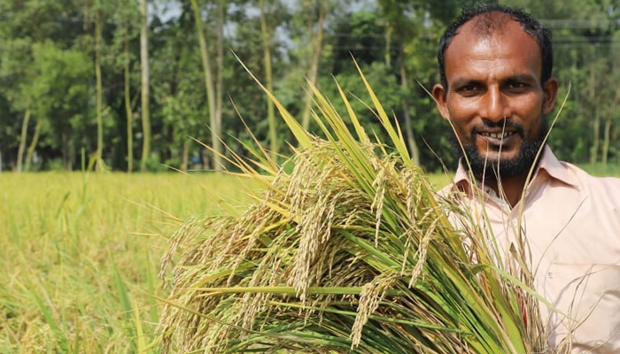 স্বপ্ন ঘরে তুলছেন কৃষক