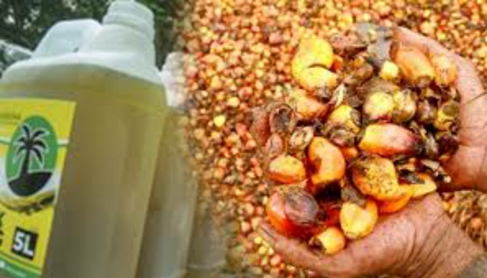 পাম তেল রপ্তানি নিষিদ্ধ করেছে ইন্দোনেশিয়া