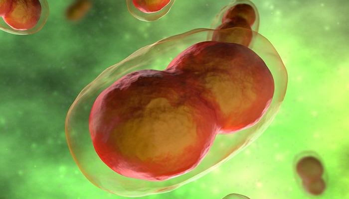 ১৫ দেশে মাংকিপক্স, বিশ্ব স্বাস্থ্য সংস্থার সতর্কতা