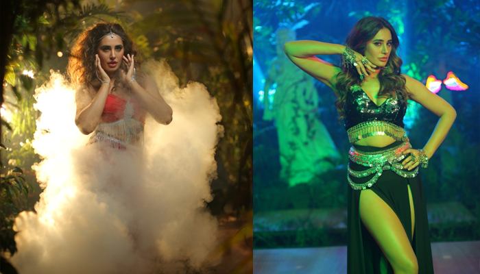 টিএম রেকর্ডসের ‘পালাবি কোথায়’ গানে ফের নারগিস ফাখরি