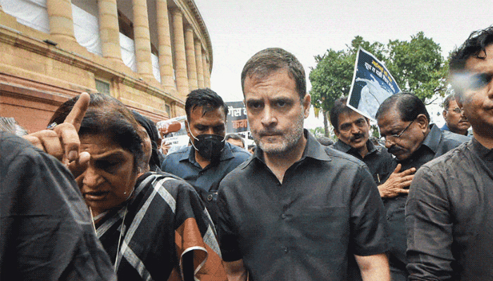 মিছিল নিয়ে রাষ্ট্রপতি ভবন যাওয়ার পথে আটক রাহুল