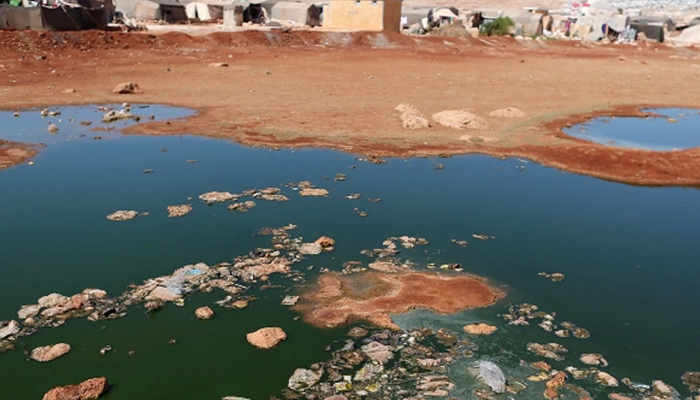 সিরিয়ায় কলেরায় ২৯ জনের মৃত্যু