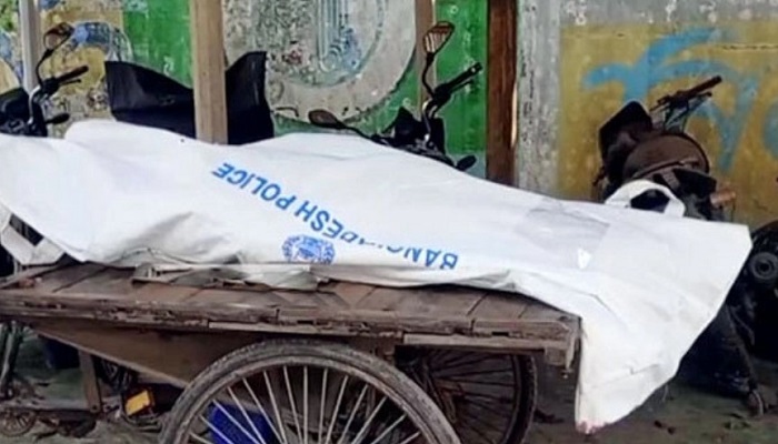 লোহাগড়ায় গাছের ডাল ভেঙে নারীর মৃত্যু
