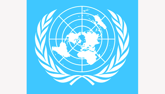 জাতিসংঘের সাফল্য, ব্যর্থতা ও কার্যকারিতা
