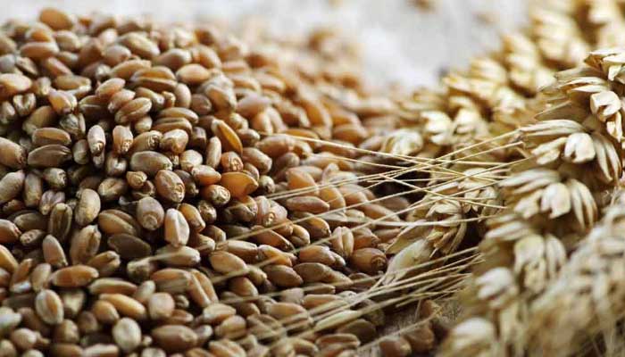 ফের খাদ্যশস্যের বৈশ্বিক উৎপাদন কমার আভাস