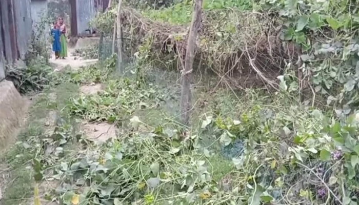 মাধবপুরে সাবেক মেম্বারের নেতৃত্বে হিন্দুবাড়িতে হামলা