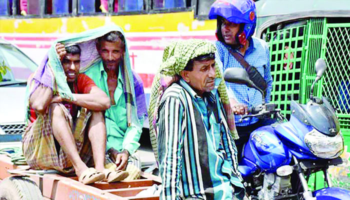 কাপাসিয়া হোক পর্যটনকেন্দ্র