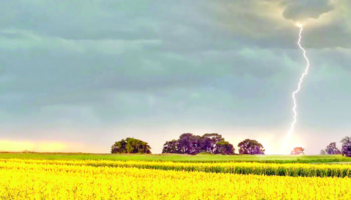 কাপাসিয়া হোক পর্যটনকেন্দ্র