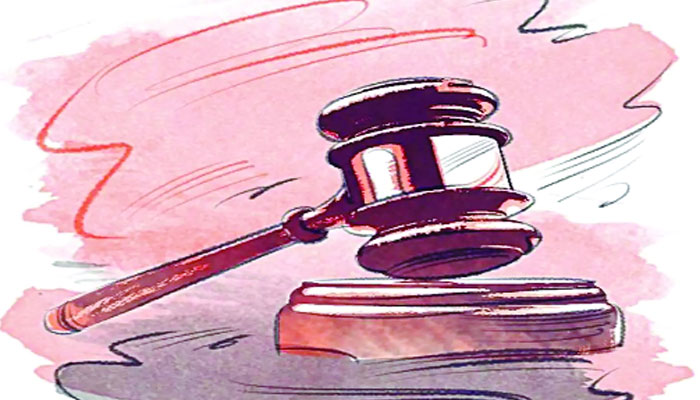 কাপাসিয়া হোক পর্যটনকেন্দ্র