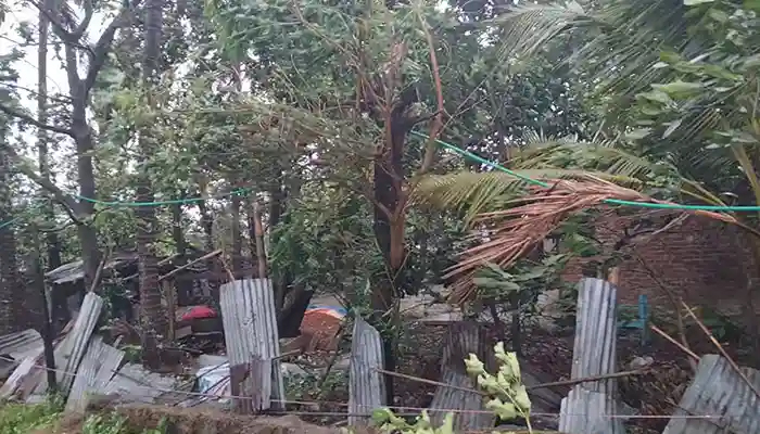 টেকনাফে ভেঙে পড়ছে ঘরবাড়ি-গাছপালা