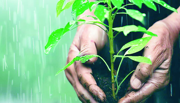 পাহাড়ের ক্ষুদ্র নৃগোষ্ঠীগুলোর যাপিত জীবন