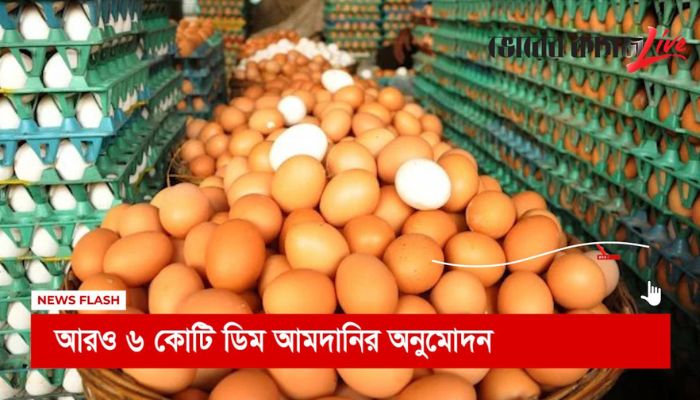 বিকেলের নিউজ ফ্ল্যাশ