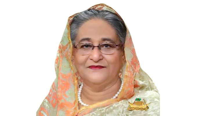 ঢাকায় পৌঁছেছেন প্রধানমন্ত্রী